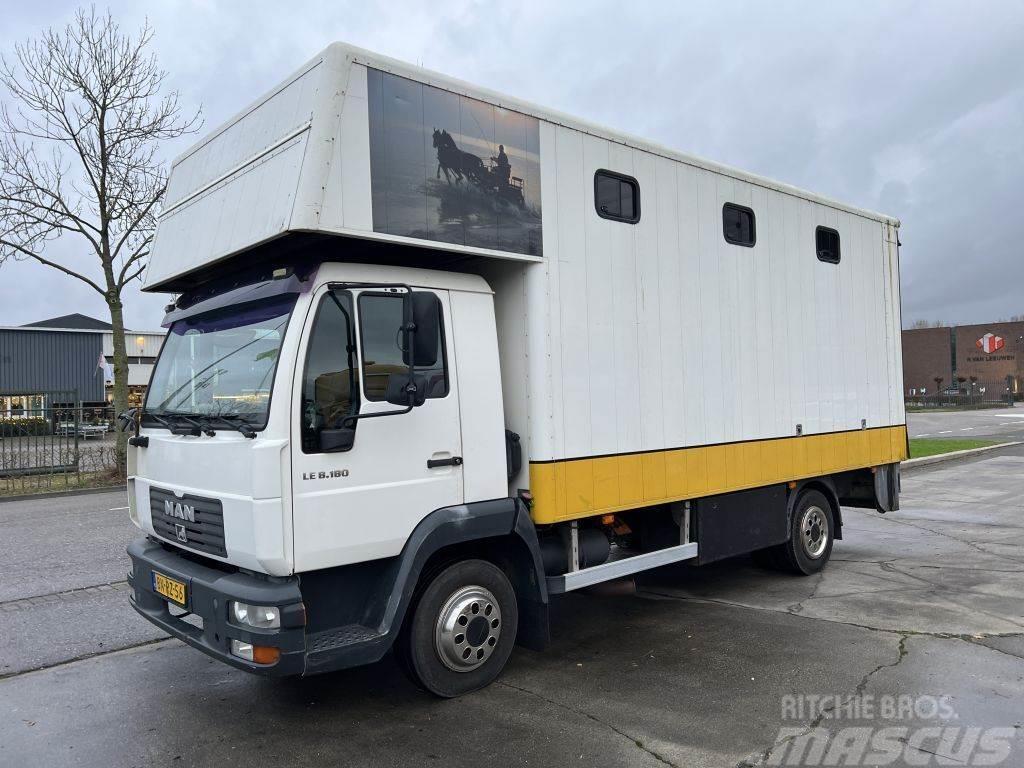 MAN LE 8-180 HORSE TRUCK - 4 PAARDS Animal transport trucks
