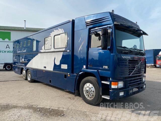 Volvo F10 6X2 for horses vin 882 Animal transport trucks