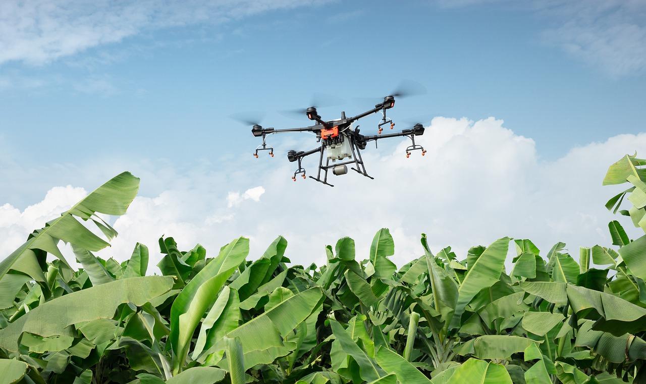 Agritech: la via dello sviluppo per l’agricoltura