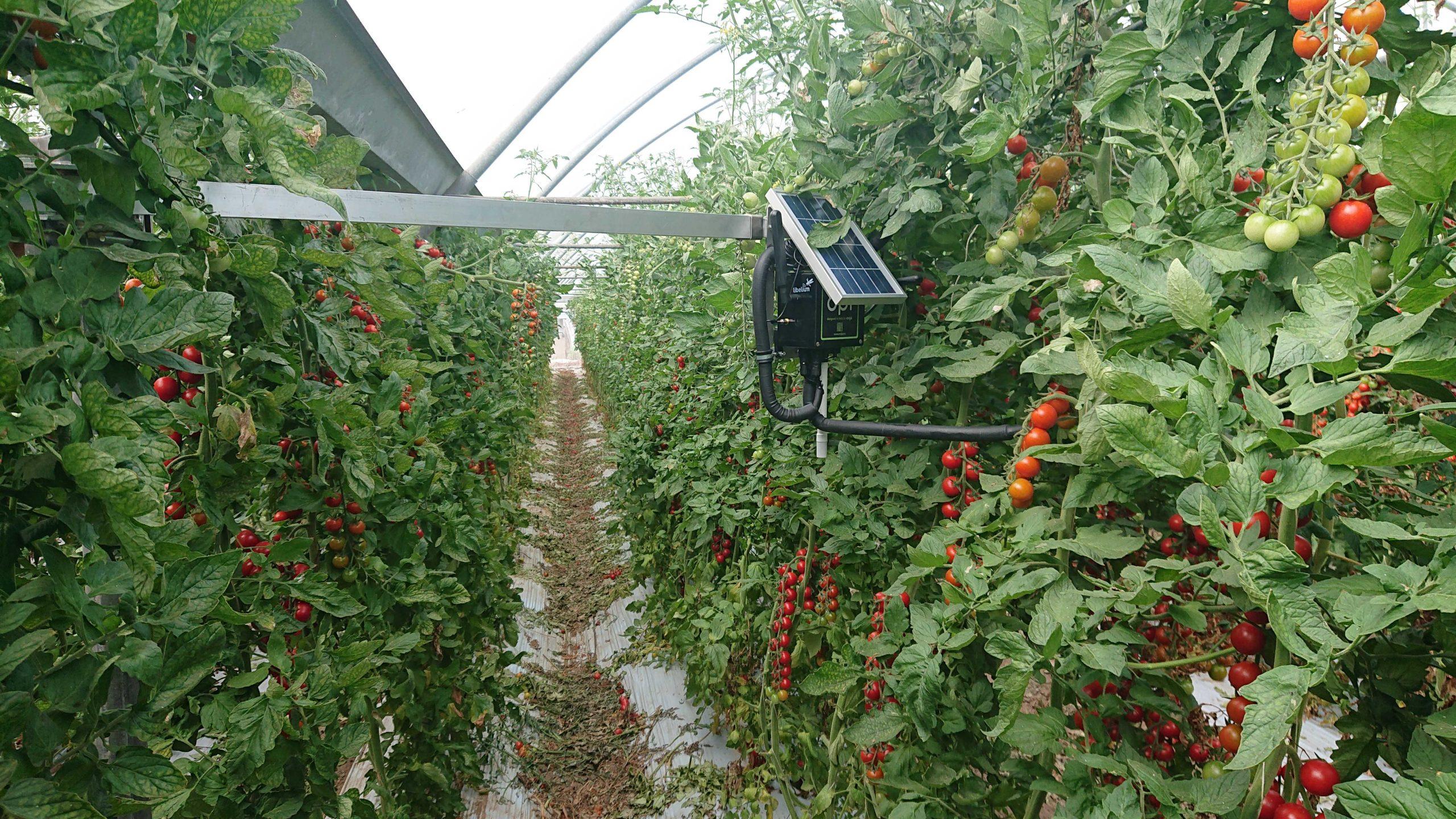 Agricoltura data-driven: tecnologia a supporto dell’uomo.