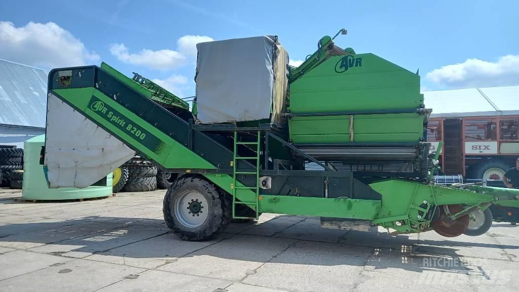 AVR spirit 8200 Tagliatrice di Bulbi