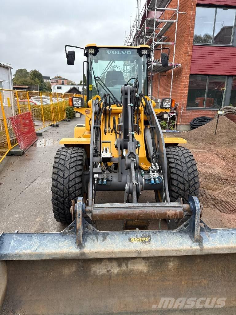 Volvo L 35 G Pale gommate