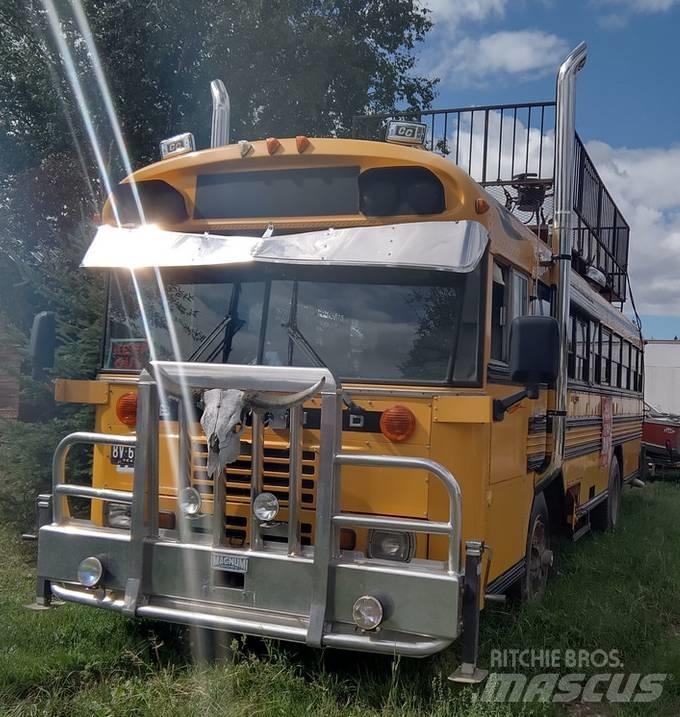 Blue Bird BUS Mini bus