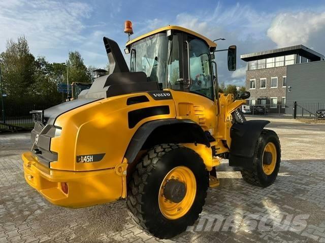 Volvo L 45 H Pale gommate