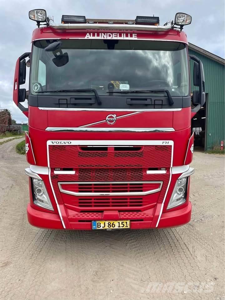 Volvo FH 500 Autogru