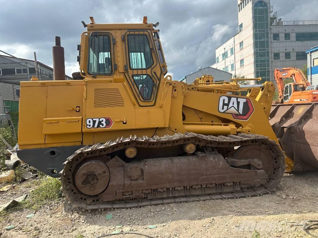 CAT 973 Pale cingolate
