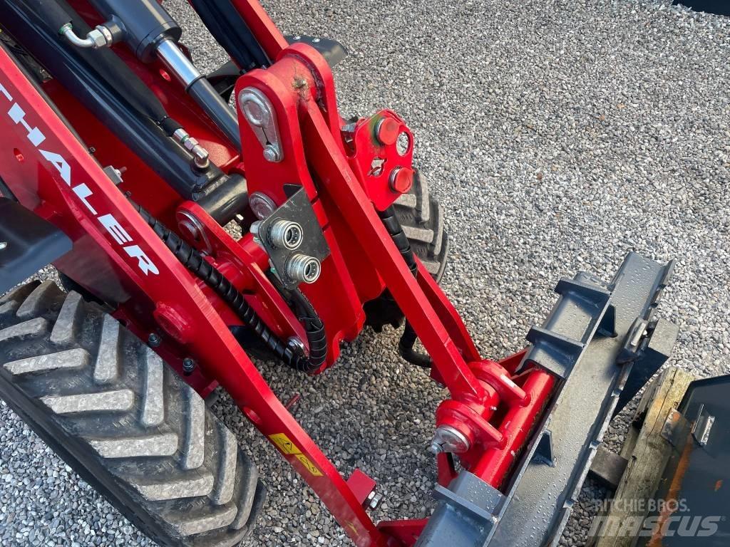 Thaler 2226 S Pale gommate