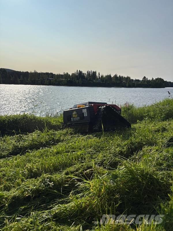 Blue Bird FM 24-70 Tosaerba a spinta