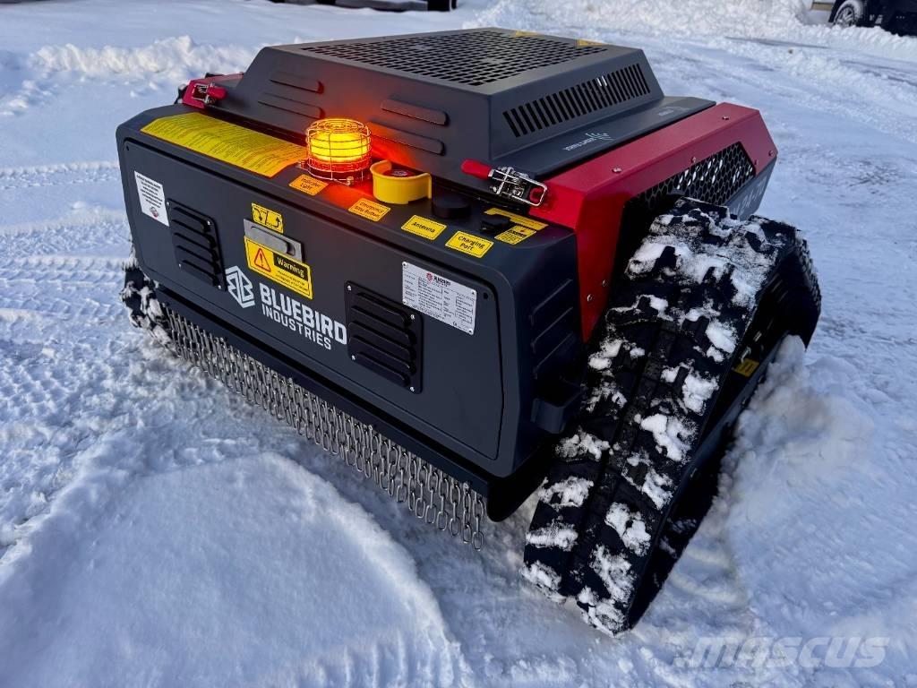 Blue Bird FM 24-70 Tosaerba a spinta