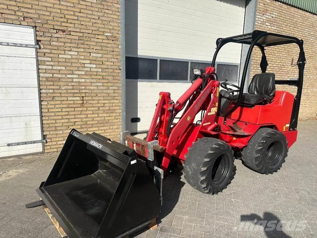 Schäffer 2033 Pale gommate