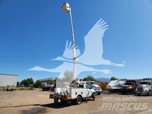 Terex TL38P Piattaforme autocarrate