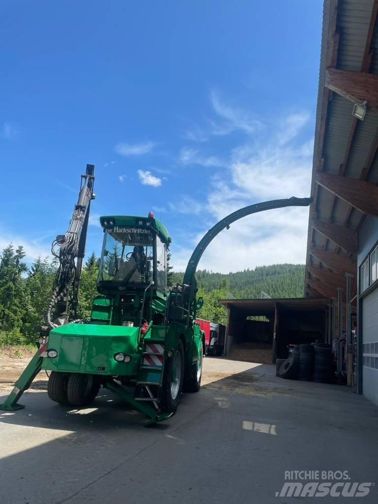 Albach Silvator Cippatrice