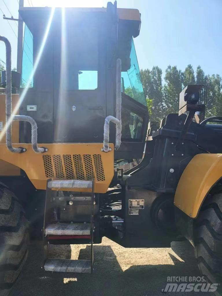 XCMG ZL50GN Pale gommate