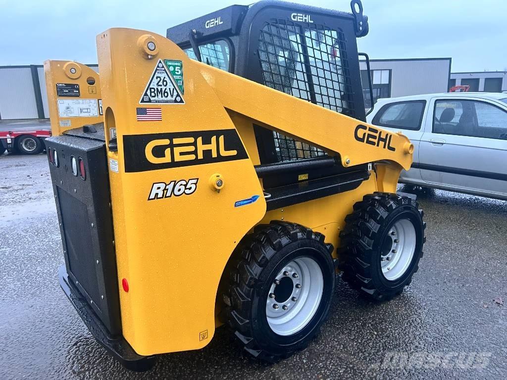 Gehl R 165 Mini Pale Gommate