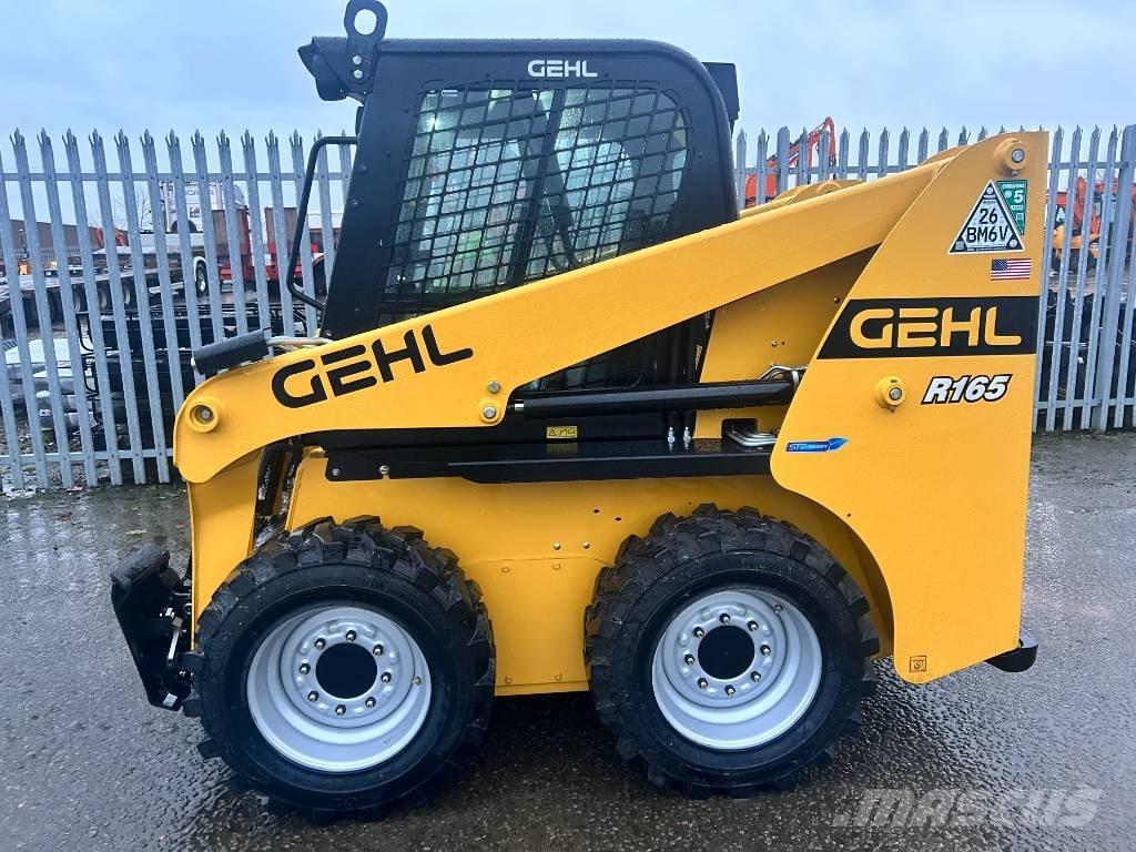 Gehl R 165 Mini Pale Gommate