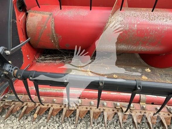 Case IH 1020 Testate per mietitrebbie