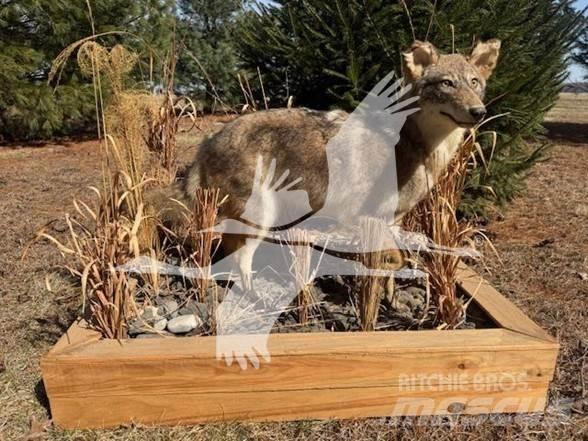 Coyote  Costruzioni - Altro