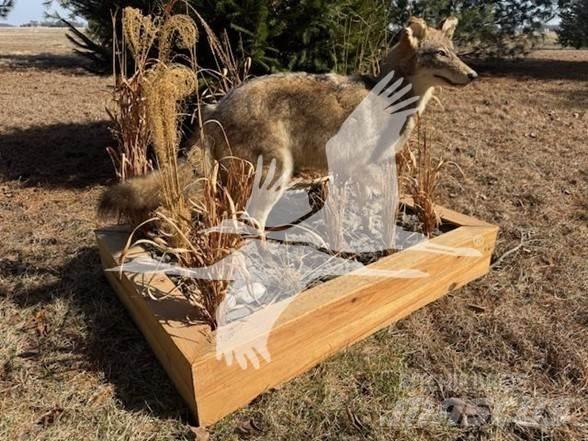 Coyote  Costruzioni - Altro