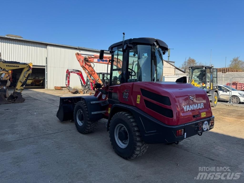 Yanmar V80 (01937) Pale gommate