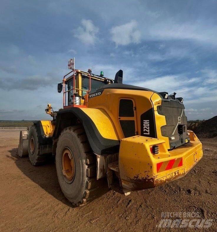 Volvo L 220 H Pale gommate