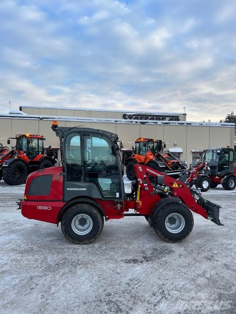 Weidemann 1880 Pale gommate
