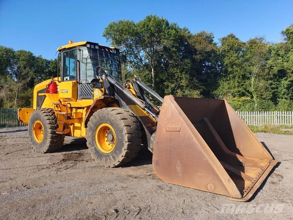 JCB 437 HT Pale gommate