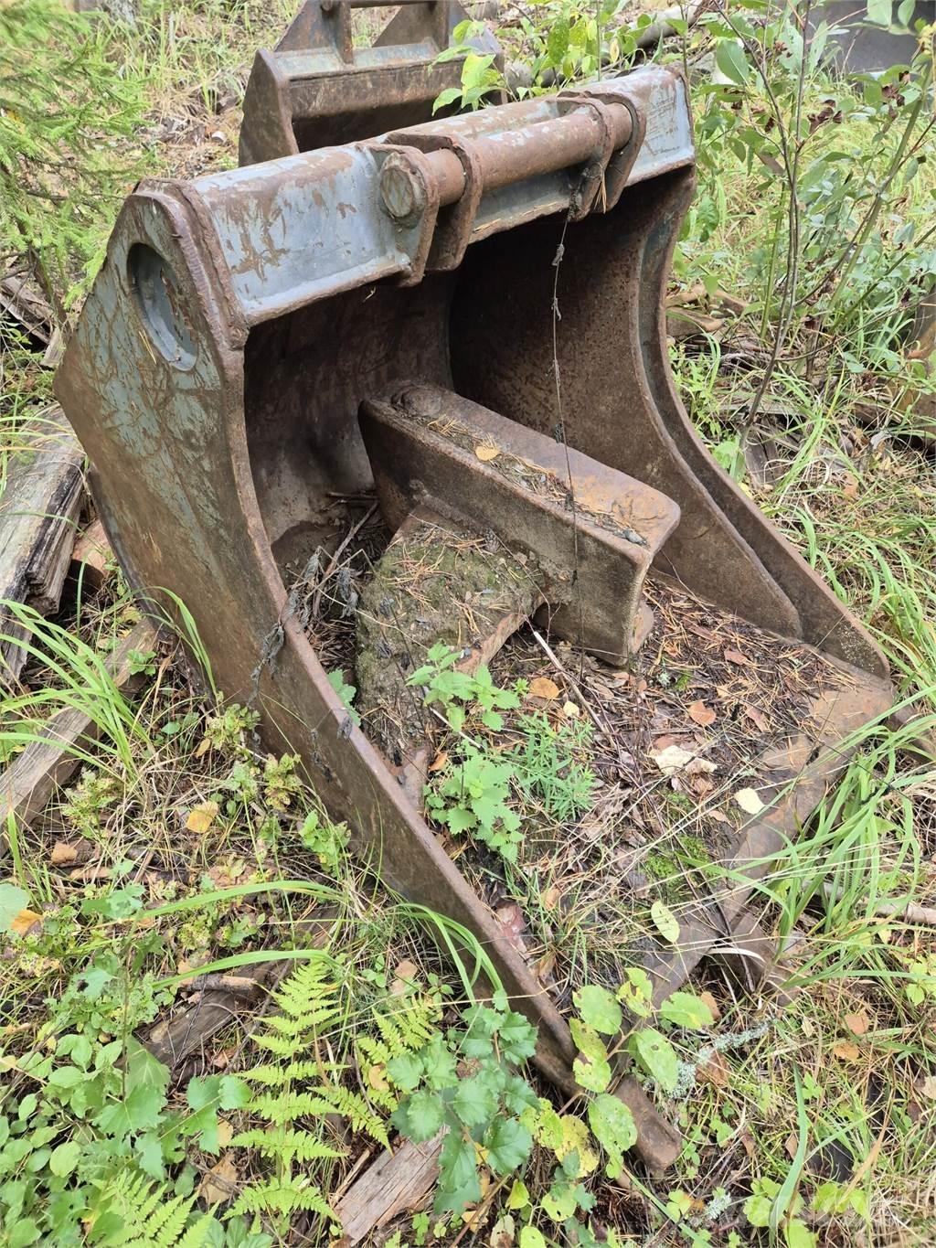 Lännen kynsikauha Benne