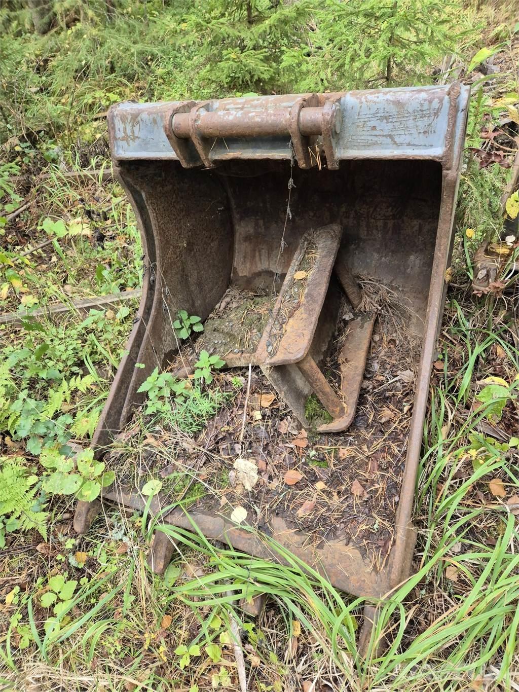 Lännen kynsikauha Benne