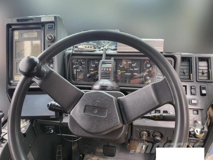 Tadano TR 250 M-6 Gru per terreni difficili