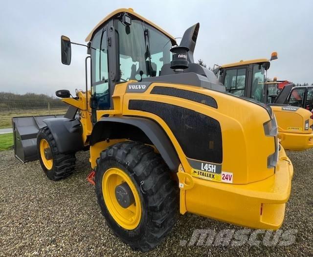 Volvo L45H Pale gommate