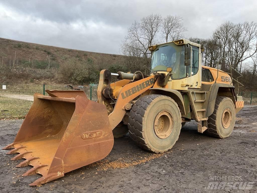 Liebherr L 566 Pale gommate
