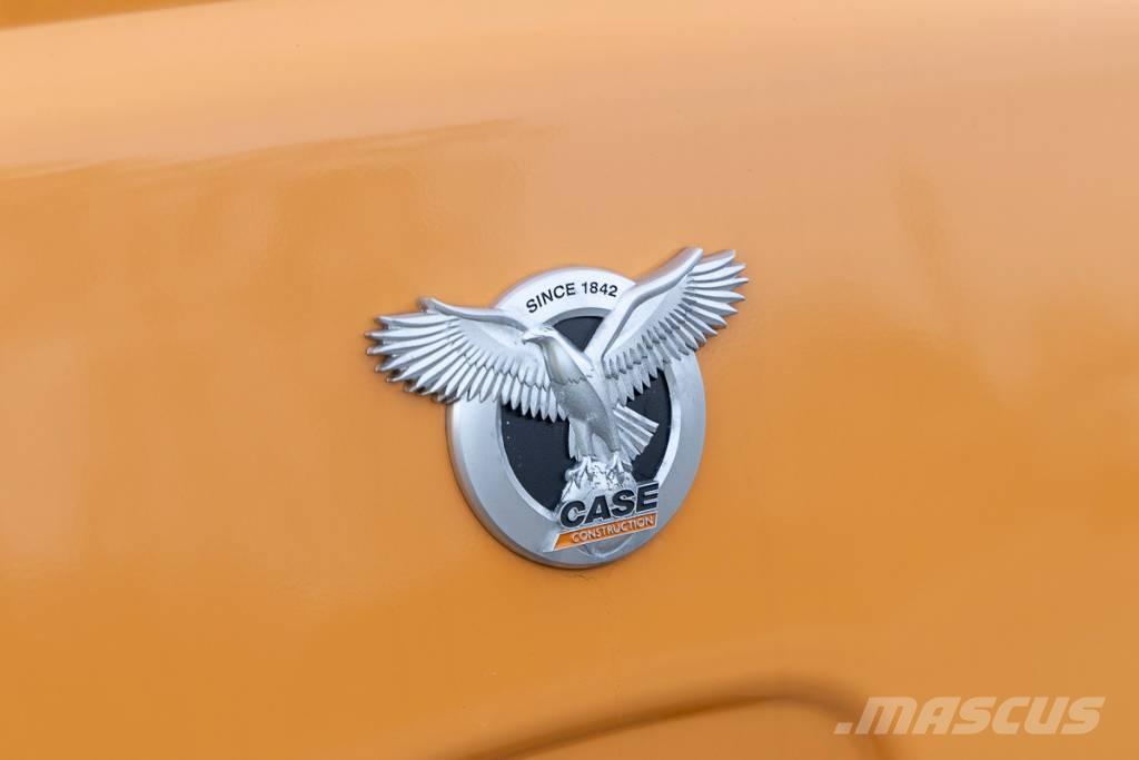 CASE 21 F Pale gommate