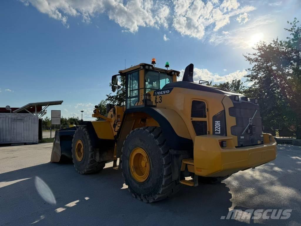 Volvo L 220 H Pale gommate