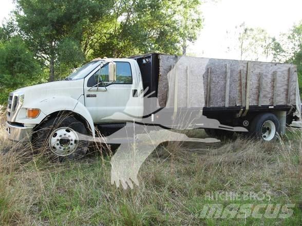 Ford F650 SD Camion con sponde ribaltabili
