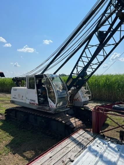 Terex HC 80 Gru cingolate
