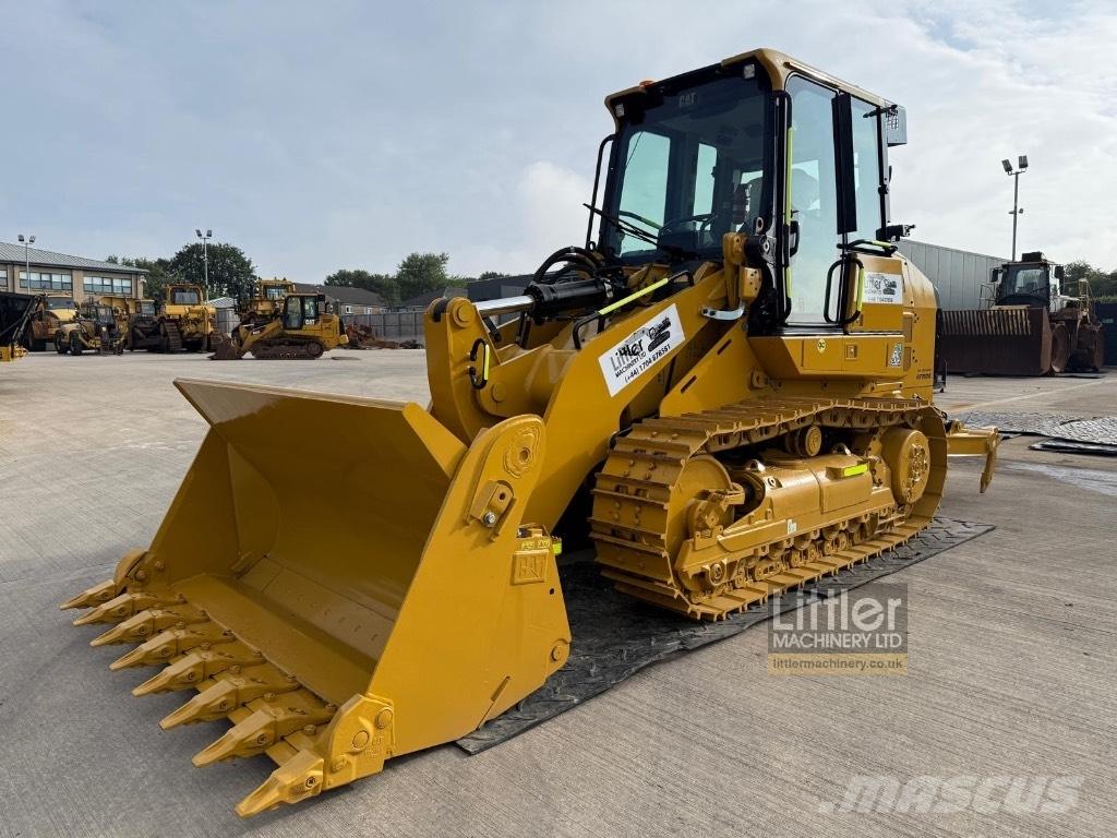 CAT 953 Pale cingolate