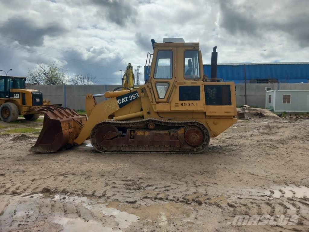 CAT 953 Pale cingolate