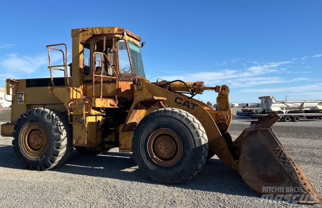 CAT 966 D Pale gommate