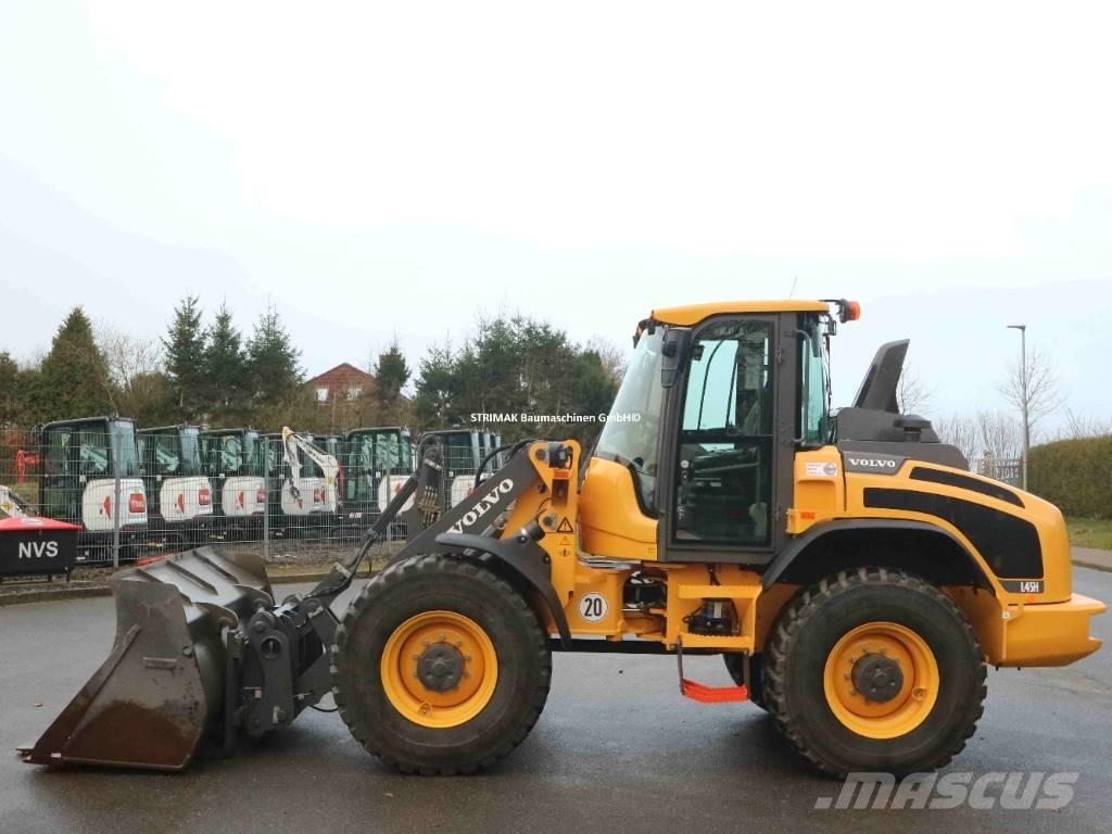 Volvo L 45 H Pale gommate