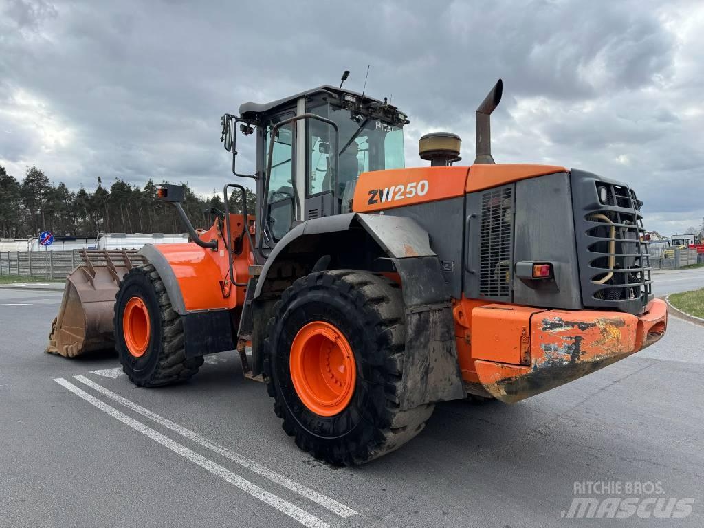 Hitachi ZW 250 Pale gommate