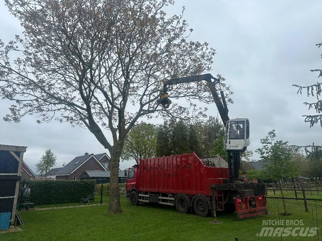 DAF cf As75pc Camion trasporto legname