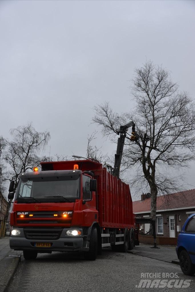 DAF cf As75pc Camion trasporto legname