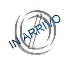 CAT 745 Dumpers articolati