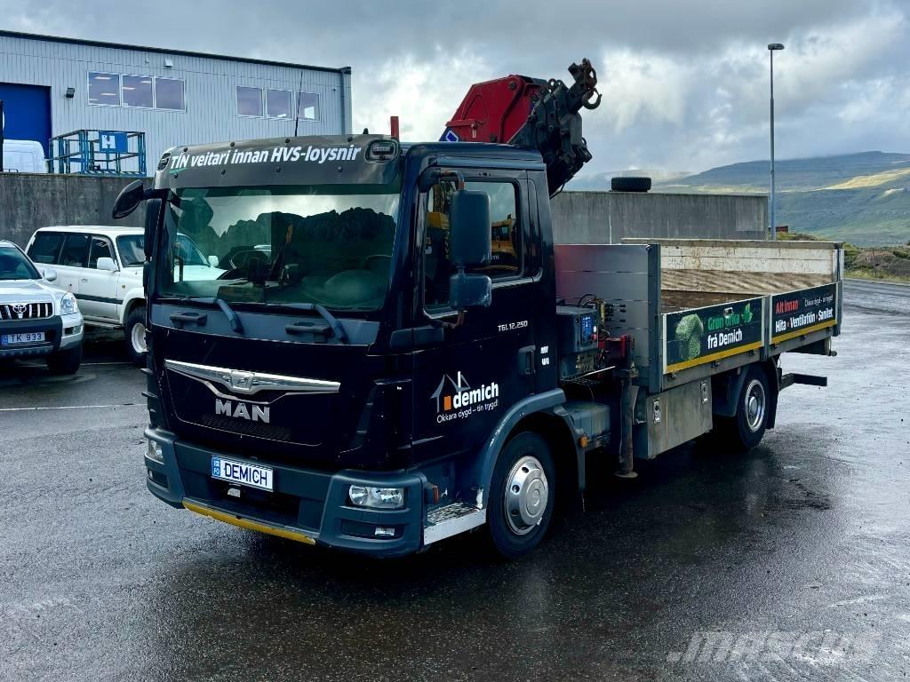 MAN TGL 12.250 Autogru