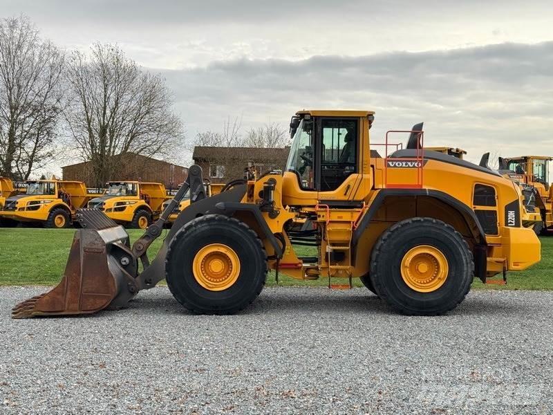 Volvo L 220 H Pale gommate
