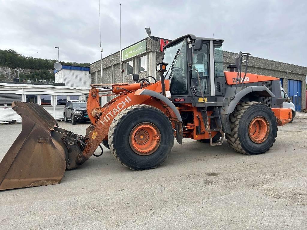 Hitachi ZW 220 Pale gommate