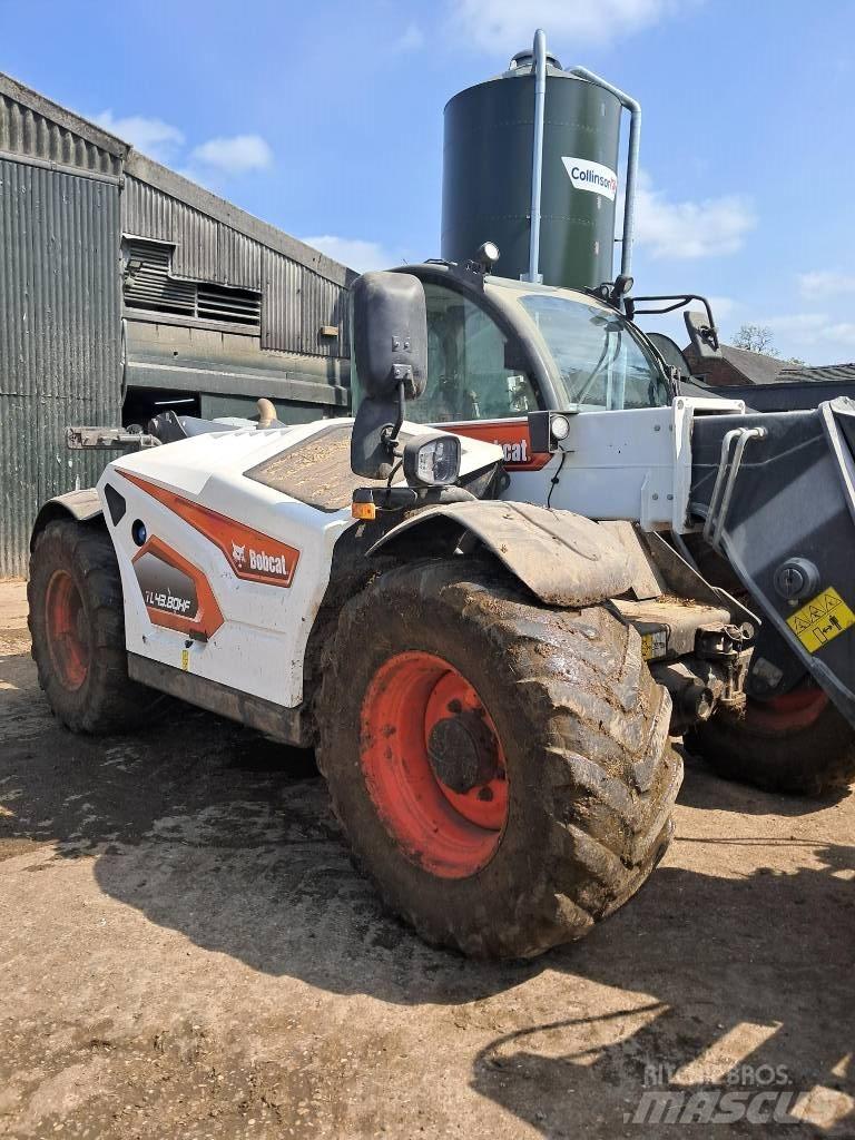 Bobcat TL 43.80 HF Sollevatori telescopici per agricoltura