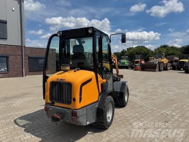 GiANT V 452 X-Tra Pale gommate