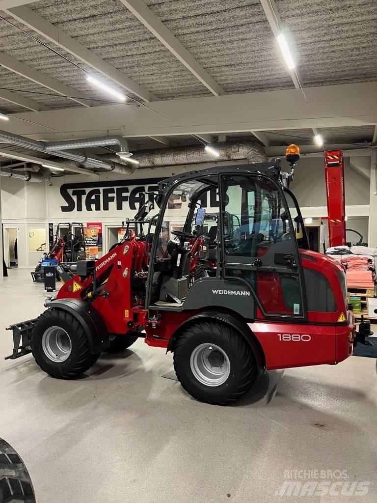 Weidemann 1880 Pale gommate