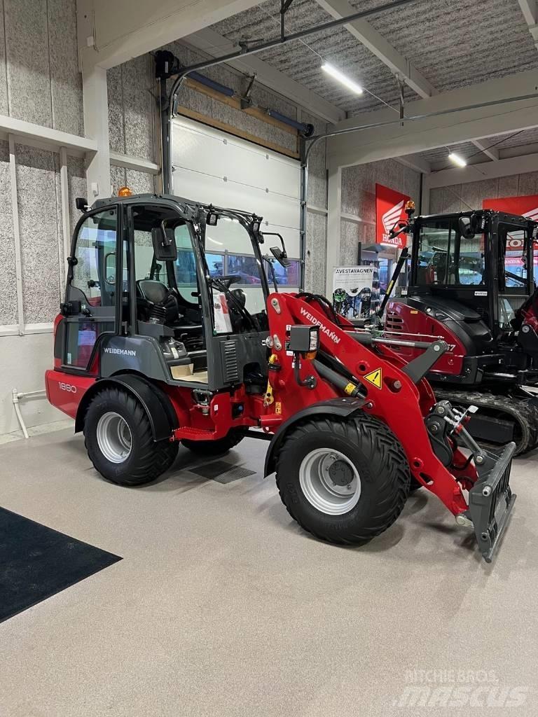 Weidemann 1880 Pale gommate